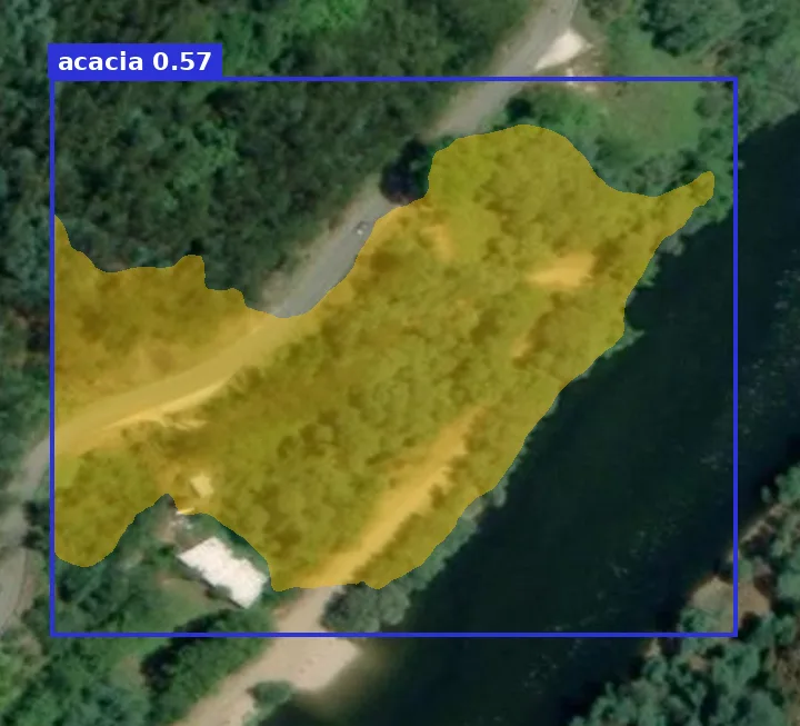 Satellite tile of a riverbank with an acacia stand outlined