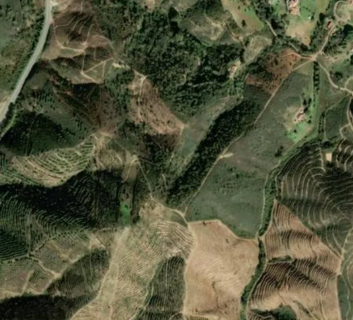 Satellite tile of terraced hillside with nothing flagged